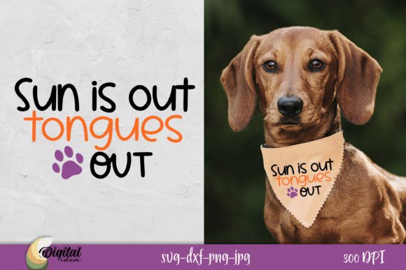 Dog Bandanas SVG: A Designer’s Real-World Embroidery Review